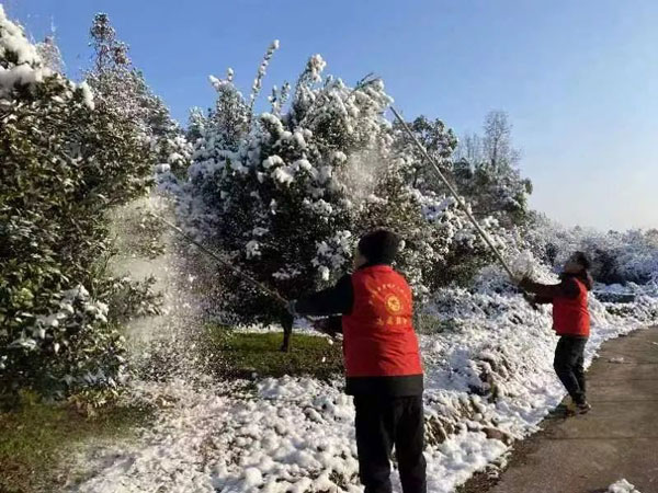 【闻“雪”而动】医院驻村工作队大雪里保畅通送温情 【闻“雪”而动】医院驻村工作队大雪里保畅通送温情