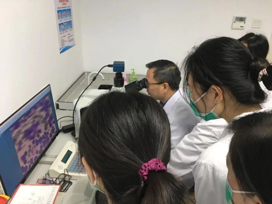 以高质量检验水平助力感染防御水平提升 以高质量检验水平助力感染防御水平提升