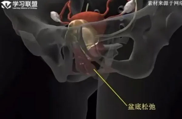 【呵“护”到家】延续护理 延续关怀 【呵“护”到家】延续护理 延续关怀