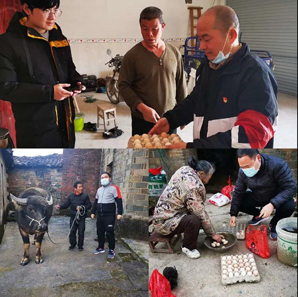 齐心协力战疫情脱贫攻坚劲不松 齐心协力战疫情脱贫攻坚劲不松