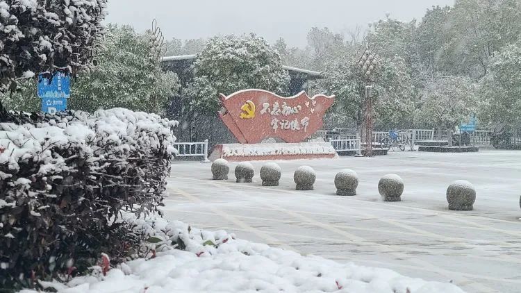 以雪为令齐行动 “医”路畅通护安全 以雪为令齐行动 “医”路畅通护安全