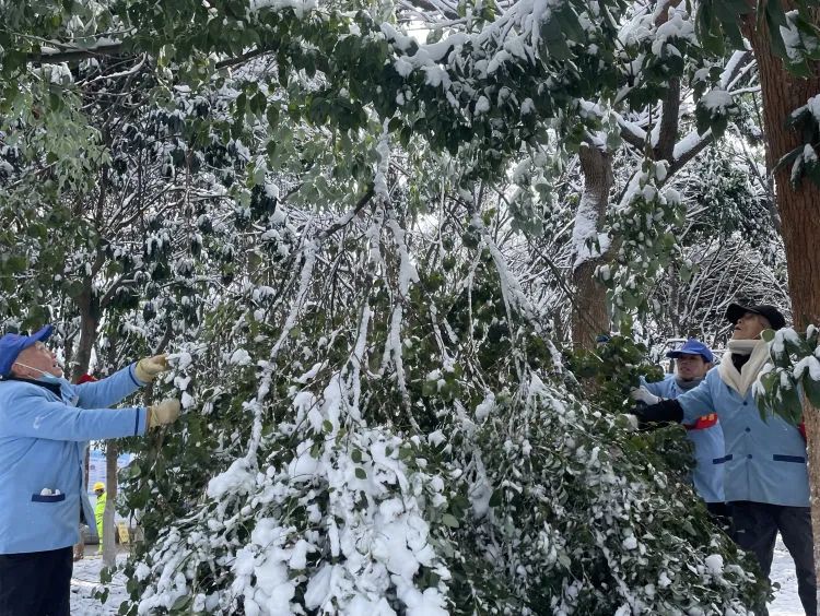 以雪为令齐行动 “医”路畅通护安全 以雪为令齐行动 “医”路畅通护安全