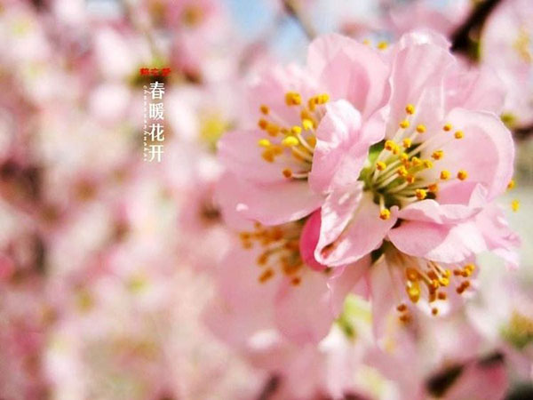 义无反顾,市第一人民医院7名援鄂医务人员进驻武汉第五医院。 义无反顾,市第一人民医院7名援鄂医务人员进驻武汉第五医院。